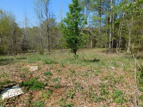 130 Halston Rdg, Easley, SC 29642 photo 1