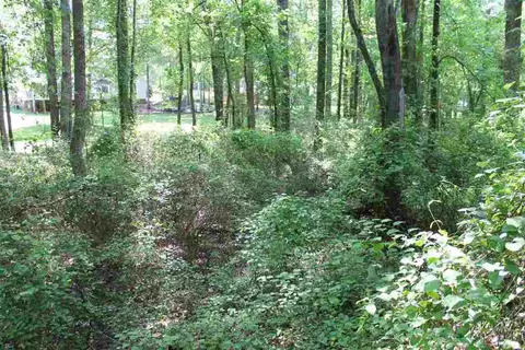 108 Bluestone Ct, Easley, SC 29642 photo 35