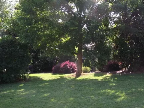 202 Georgetown Rd, Easley, SC 29640 photo 27