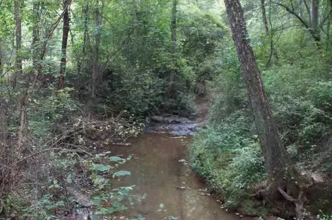 256 Flat Rock Rd, Walhalla, SC 29691 photo 33