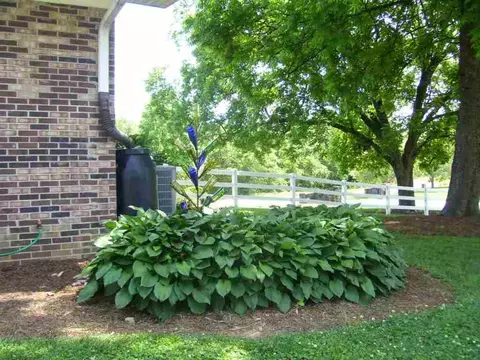 304 Hood Rd, Easley, SC 29640 photo 31