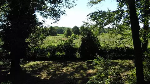 140 Breazeale Rd, Pendleton, SC 29670 photo 10