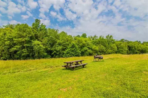 347 Holliday Dam Rd, Honea Path, SC 29654 photo 34