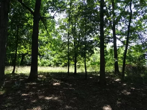 1142 Thatcher Rd, Seneca, SC 29678 photo 5