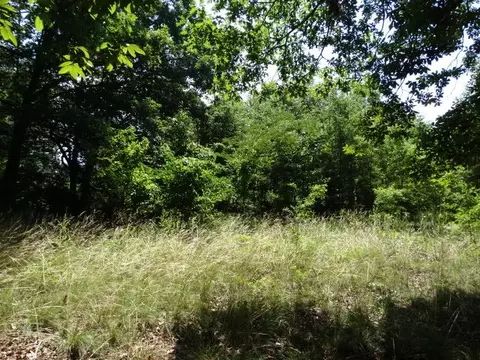 1142 Thatcher Rd, Seneca, SC 29678 photo 4