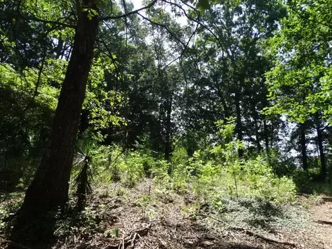 1142 Thatcher Rd, Seneca, SC 29678 photo 3