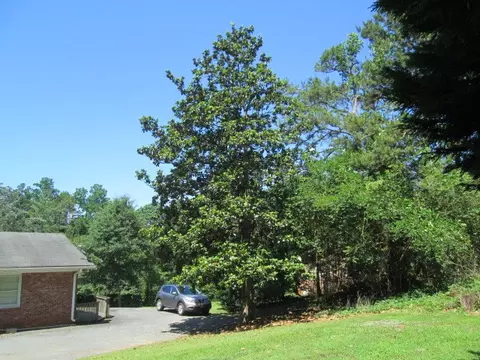 130 Pine Lake Dr, Central, SC 29630 photo 28