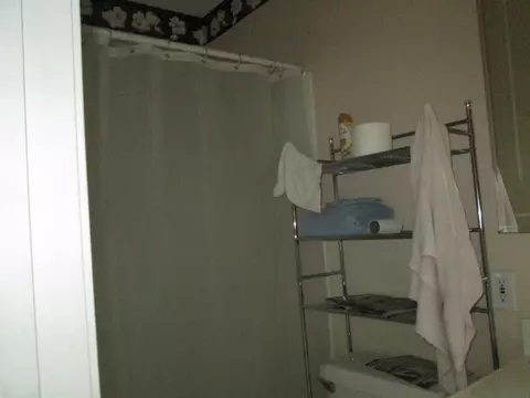 130 Pine Lake Dr, Central, SC 29630 photo 20