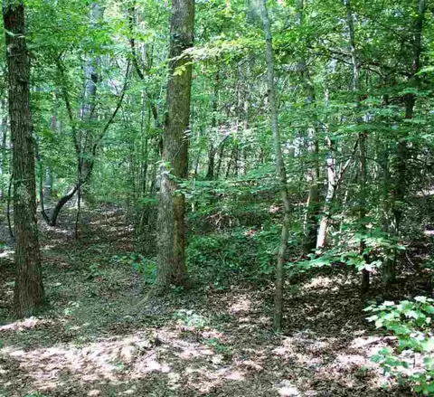 221 Spake Rd, Pendleton, SC 29670 photo 21