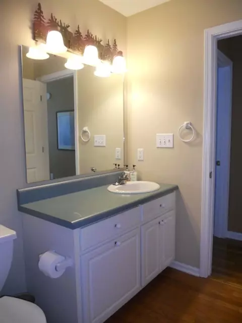 115 Waterbury Way, Pendleton, SC 29670 photo 20
