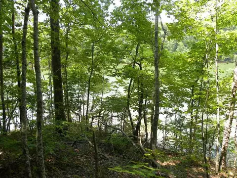 328 Pike Rd, Central, SC 29630 photo 19