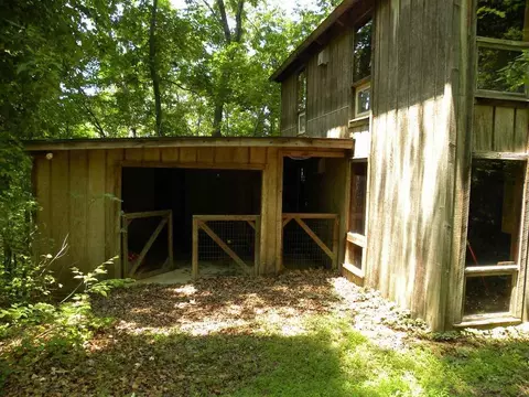 328 Pike Rd, Central, SC 29630 photo 15