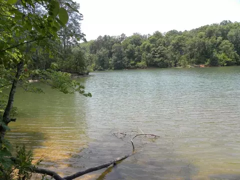 328 Pike Rd, Central, SC 29630 photo 21