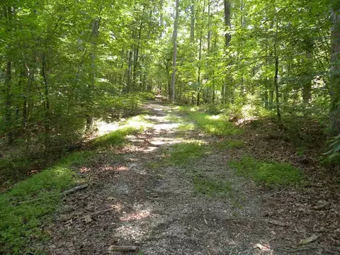 328 Pike Rd, Central, SC 29630 photo 27