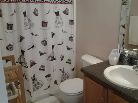 116 Zippo Pine Dr, Williamston, SC 29697 photo 6