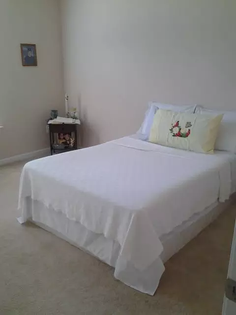 116 Zippo Pine Dr, Williamston, SC 29697 photo 8