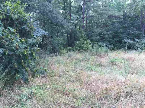 806 Hampton St, Iva, SC 29655 photo 4