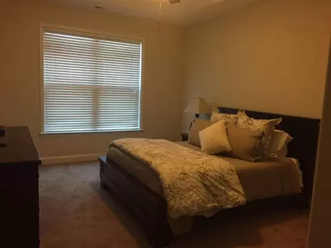 511 Ivy Spring Ct, Seneca, SC 29678 photo 9
