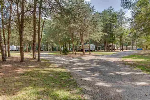 509 Mountain View Rd, Williamston, SC 29697 photo 29