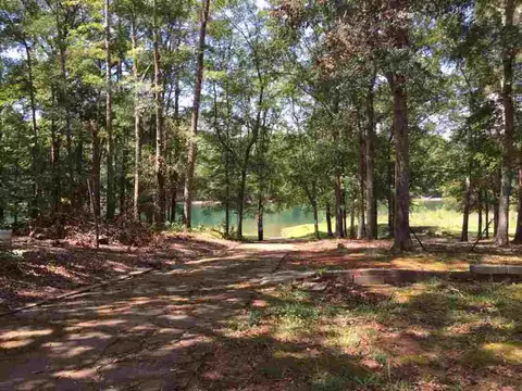 436 Brown Bottom Rd, Central, SC 29630 photo 16