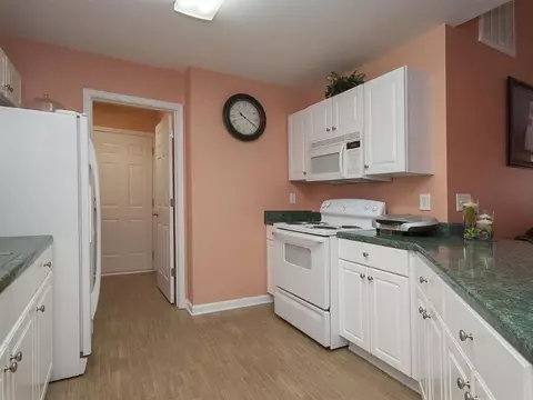 244 Springfield Cir, Easley, SC 29642 photo 12
