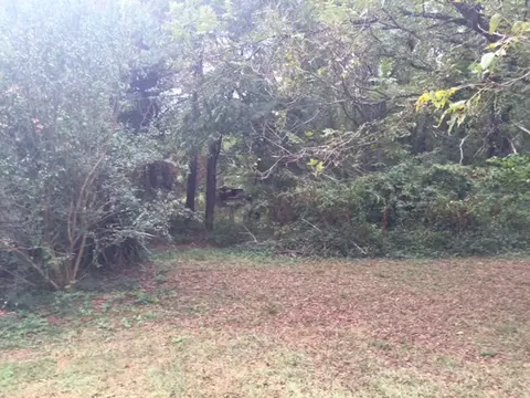 206 Colonels Rd, Pendleton, SC 29670 photo 4