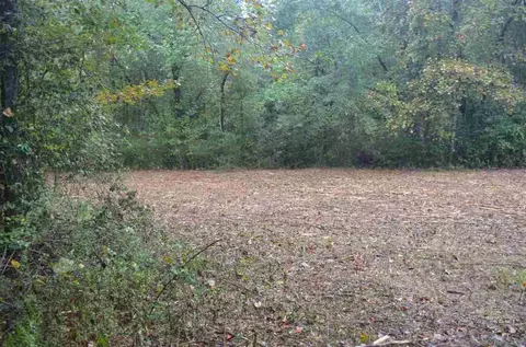 240 Coffee Rd, Walhalla, SC 29691 photo 27