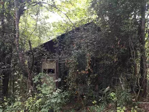 240 Coffee Rd, Walhalla, SC 29691 photo 16