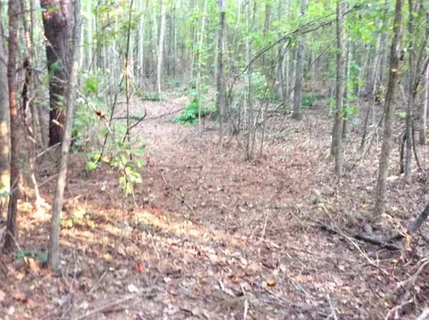 870 Martin Rd, Starr, SC 29684 photo 13