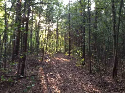 870 Martin Rd, Starr, SC 29684 photo 10