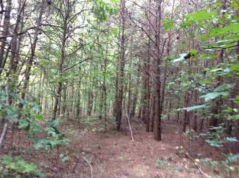 870 Martin Rd, Starr, SC 29684 photo 35