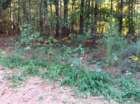 870 Martin Rd, Starr, SC 29684 photo 8