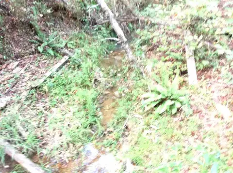 870 Martin Rd, Starr, SC 29684 photo 34