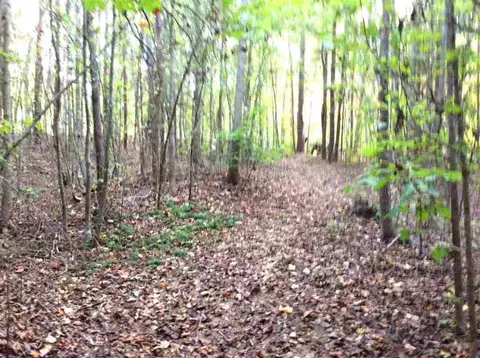 870 Martin Rd, Starr, SC 29684 photo 18