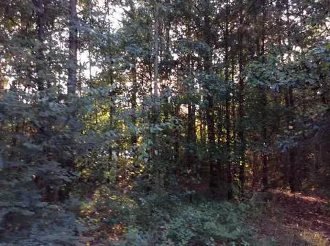 870 Martin Rd, Starr, SC 29684 photo 9