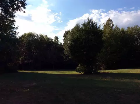 870 Martin Rd, Starr, SC 29684 photo 3