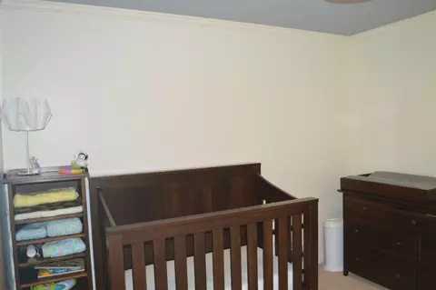 331 Radisson Rd, Seneca, SC 29678 photo 31
