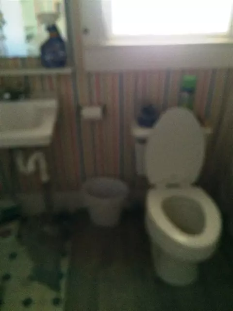 8 Smith St, Pelzer, SC 29669 photo 7
