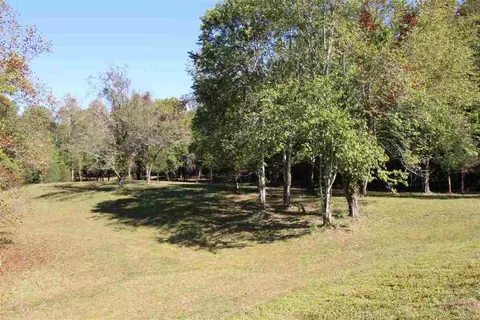 2875 Table Rock Rd, Pickens, SC 29671 photo 10