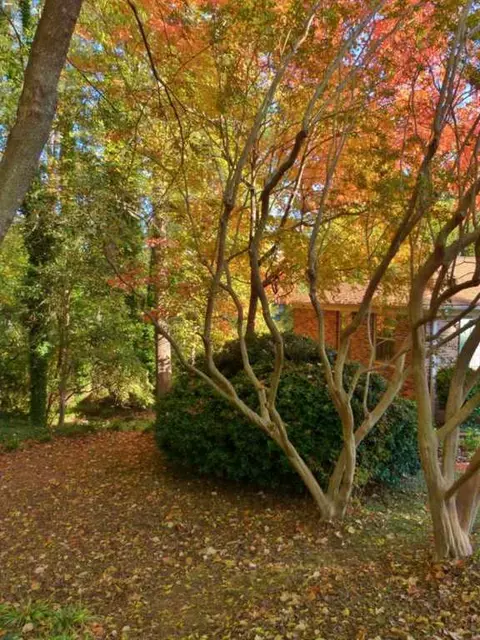 2819 Leconte Rd, Anderson, SC 29621 photo 7