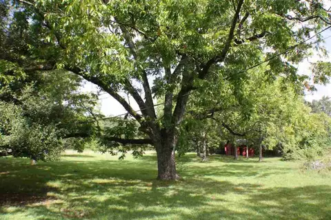 1410 Hwy 413, Anderson, SC 29621 photo 3