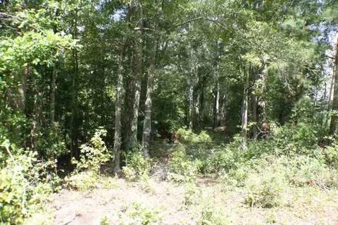 1410 Hwy 413, Anderson, SC 29621 photo 30