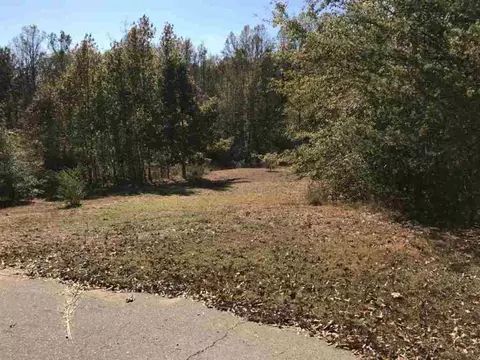 136 Wisteria Way, Pendleton, SC 29670 photo 2