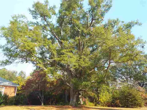 839 Greenville St, Pendleton, SC 29670 photo 4
