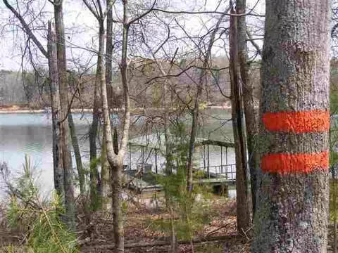 1672 Ridgemore Dr, Toccoa, GA 30577 photo 4