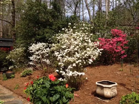 412 Mud Run Rd, Easley, SC 29640 photo 35