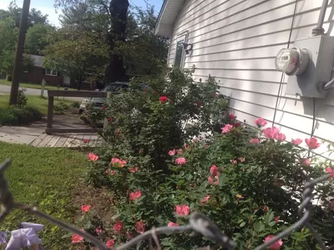 217 Sylvia Rd, Easley, SC 29642 photo 28