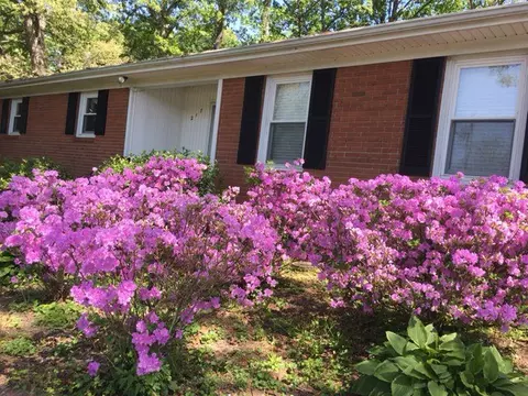 217 Sylvia Rd, Easley, SC 29642 photo 6