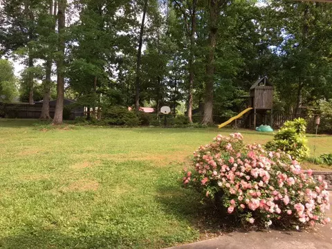 217 Sylvia Rd, Easley, SC 29642 photo 27