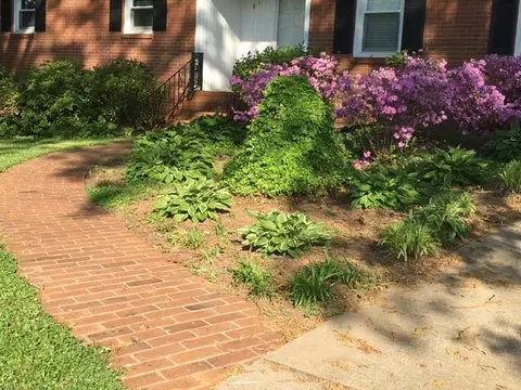 217 Sylvia Rd, Easley, SC 29642 photo 7